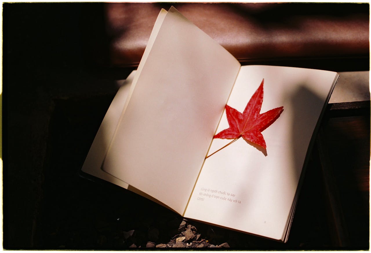 Can paper be sustainable at all?